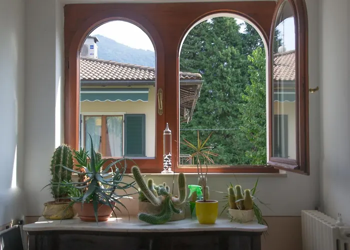 Michelangelo - Welchome *